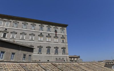 PAPA FRANCISCO | Estamos llamados a reconocer en Él al Hijo de Dios, nuestro Salvador