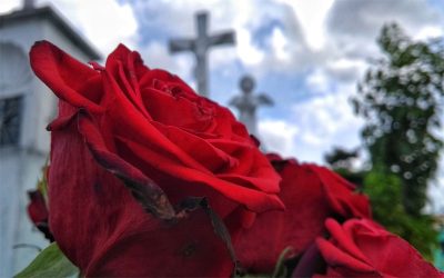 Vaticano | Las indulgencias plenarias para los fieles fallecidos se prorrogarán durante todo el mes de noviembre