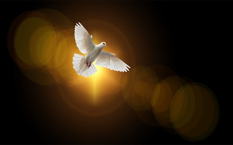 obcastrensearg_novena espiritu santo día 3