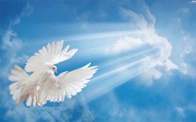 Novena al Espíritu Santo, quinto día
