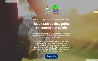 Todos somos discípulos misioneros en salida, juntos participemos del Camino Sinodal Diocesano
