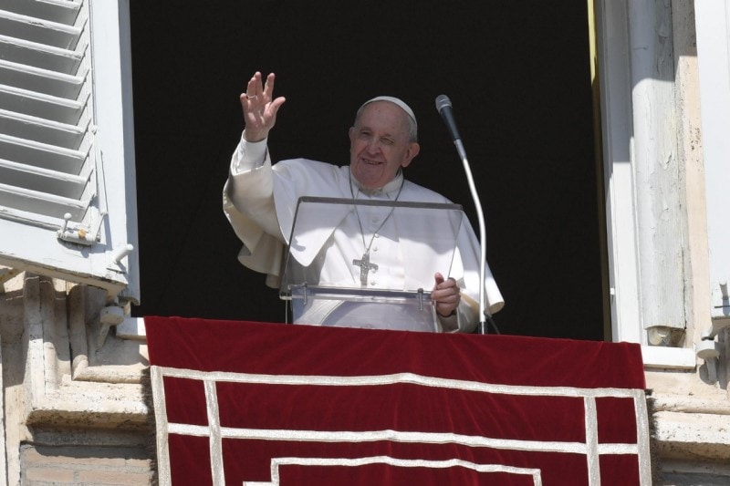 Papa Francisco | Si queremos cultivar los campos de la vida, es importante buscar ante todo la obra de Dios: aprender a ver la belleza de lo que el Señor ha sembrado