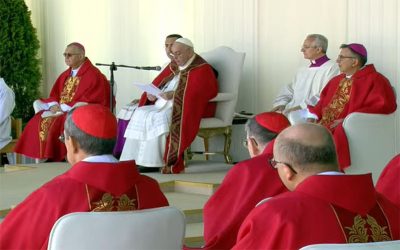 Papa Francisco | Desde la Cruz de Cristo aprendemos el amor, no el odio, aprendemos la compasión, no la indiferencia, aprendemos el perdón, no la venganza