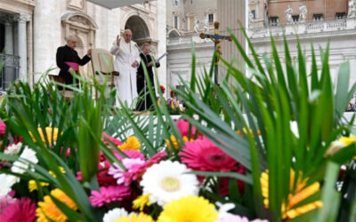 PAPA FRANCISCO | Un mundo sin leyes que respeten los derechos sería un mundo en el que es imposible vivir, se parecería a una jungla, sin justicia, no hay paz