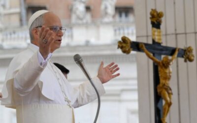 PAPA LEÓN XIV | Dios confía y espera que tarde o temprano la semilla florezca
