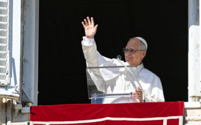 PAPA LEÓN XIV | El Evangelio, debe ser anunciado y vivido en todas las circunstancias y en todos los ambientes, para que sea levadura de fraternidad y paz entre las personas