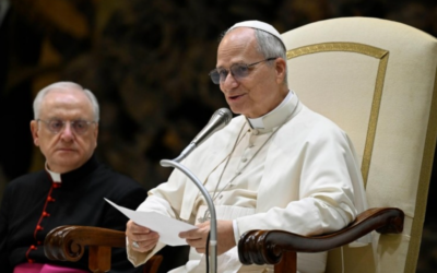 PAPA LEÓN XIV | Si Jesús nos llama a ser amigos, intentemos no dejar sin escuchar esta llamada