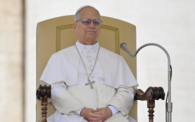 PAPA LEÓN XIV | La Iglesia es comunidad terrena y cuerpo místico de Cristo, asamblea visible y misterio espiritual, realidad presente en la historia y pueblo que peregrina hacia el cielo