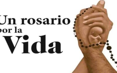 MONS. OLIVERA | Deseo invitarlos a ofrecer el rosario por la Vida y la Familia, alzando a Dios, SEÑOR DE LA VIDA, la voz orante por los que no tienen