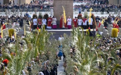 PAPA LEÓN XIV | Como Rey de la paz, Jesús quiere reconciliar al mundo en el abrazo del Padre y derribar todos los muros que nos separan de Dios y del prójimo, porque Él «es nuestra paz »