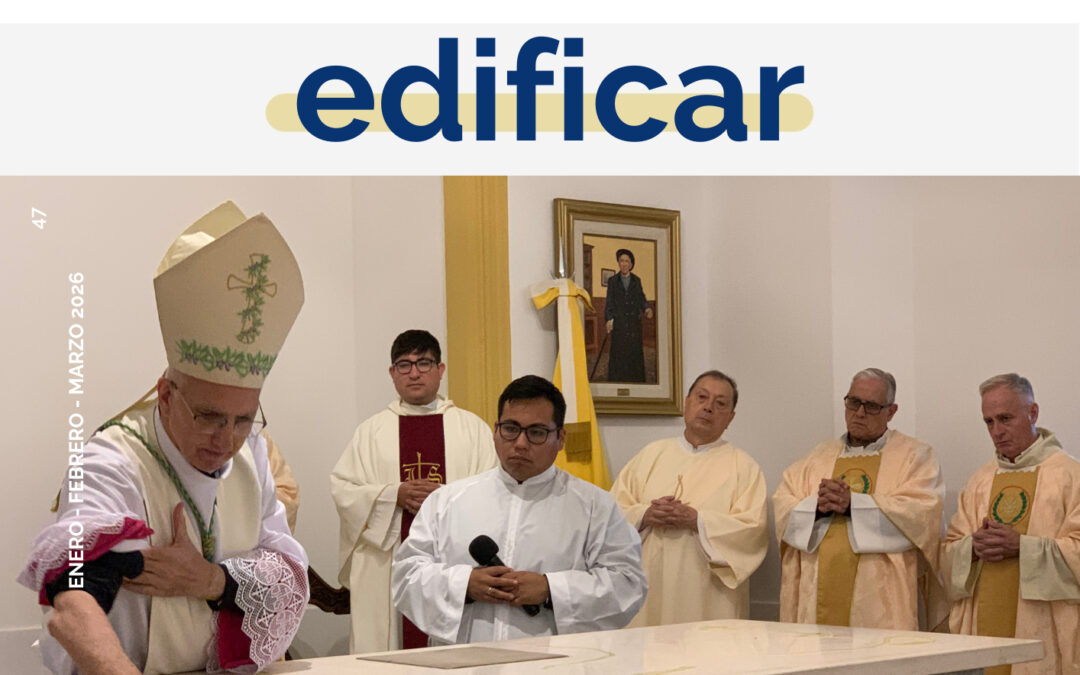 Revista Edificar N° 47
