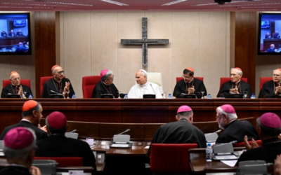 PAPA LEÓN XIV | La Iglesia que recibe el corazón de Cristo lleva consigo la columna de fuego que la guía, la sostiene, la defiende y la conforta el equipaje necesario para afrontar cualquier reto
