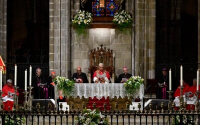 PAPA LEÓN XIV | La Iglesia es fruto de un acto de amor que la precede y que viene de Dios y, ante todo, crece dejándose amar por Él